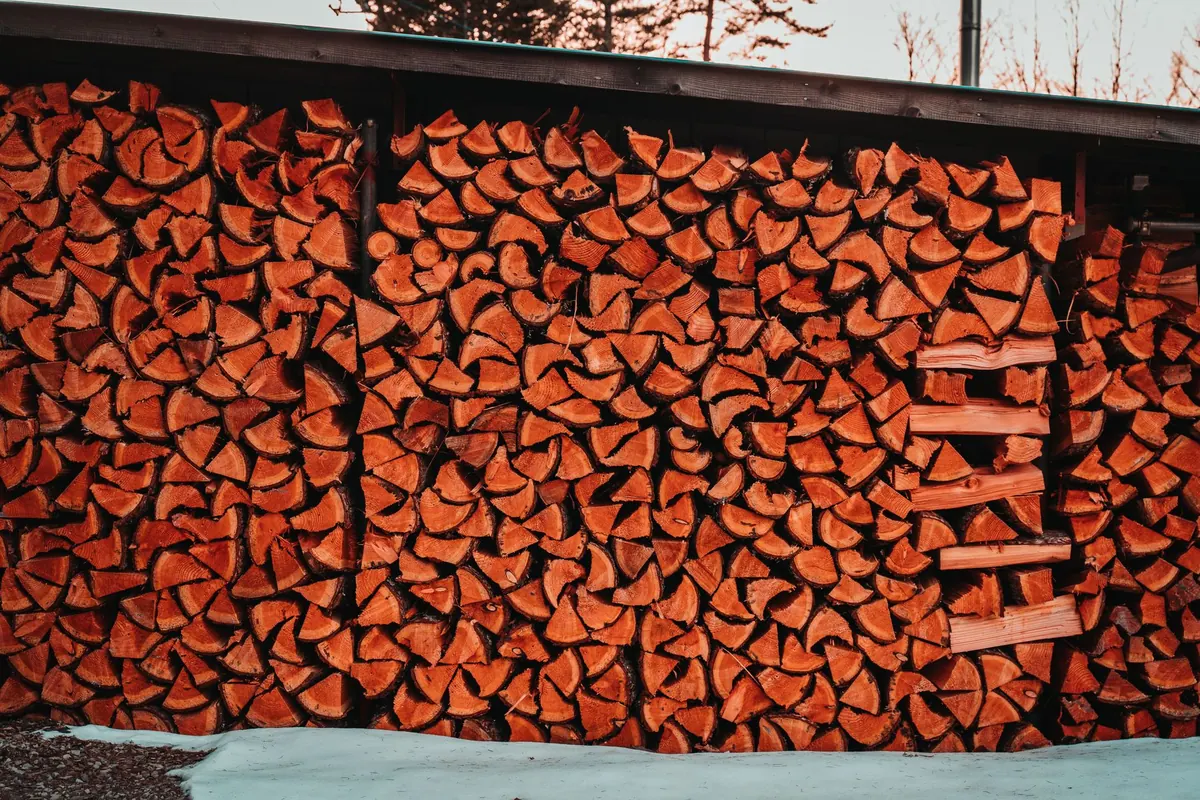 How to Store Firewood Correctly for Winter